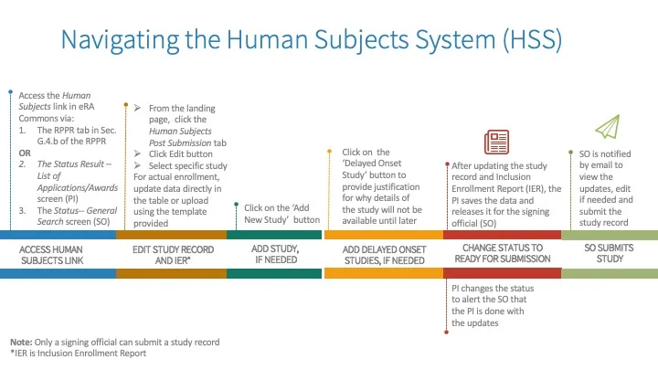 HSS Process Flow